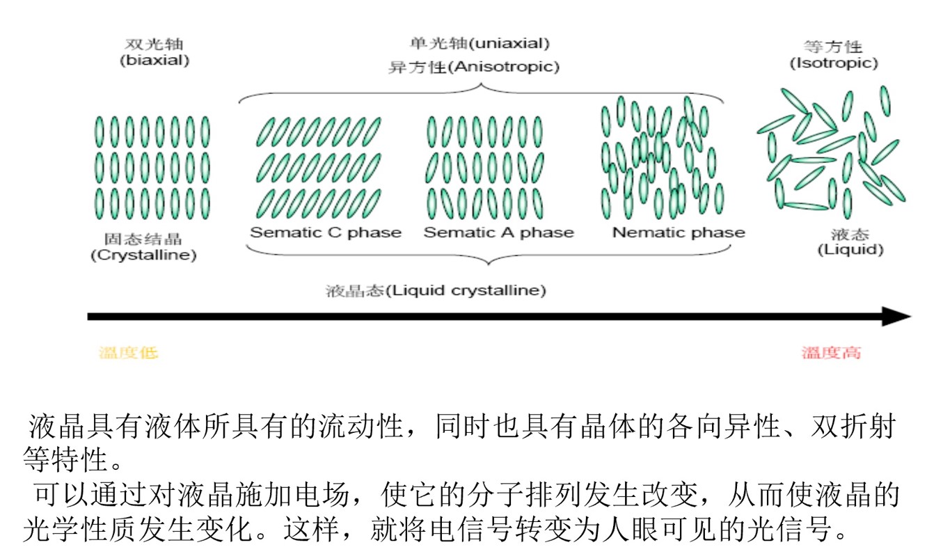 液晶分子.jpg