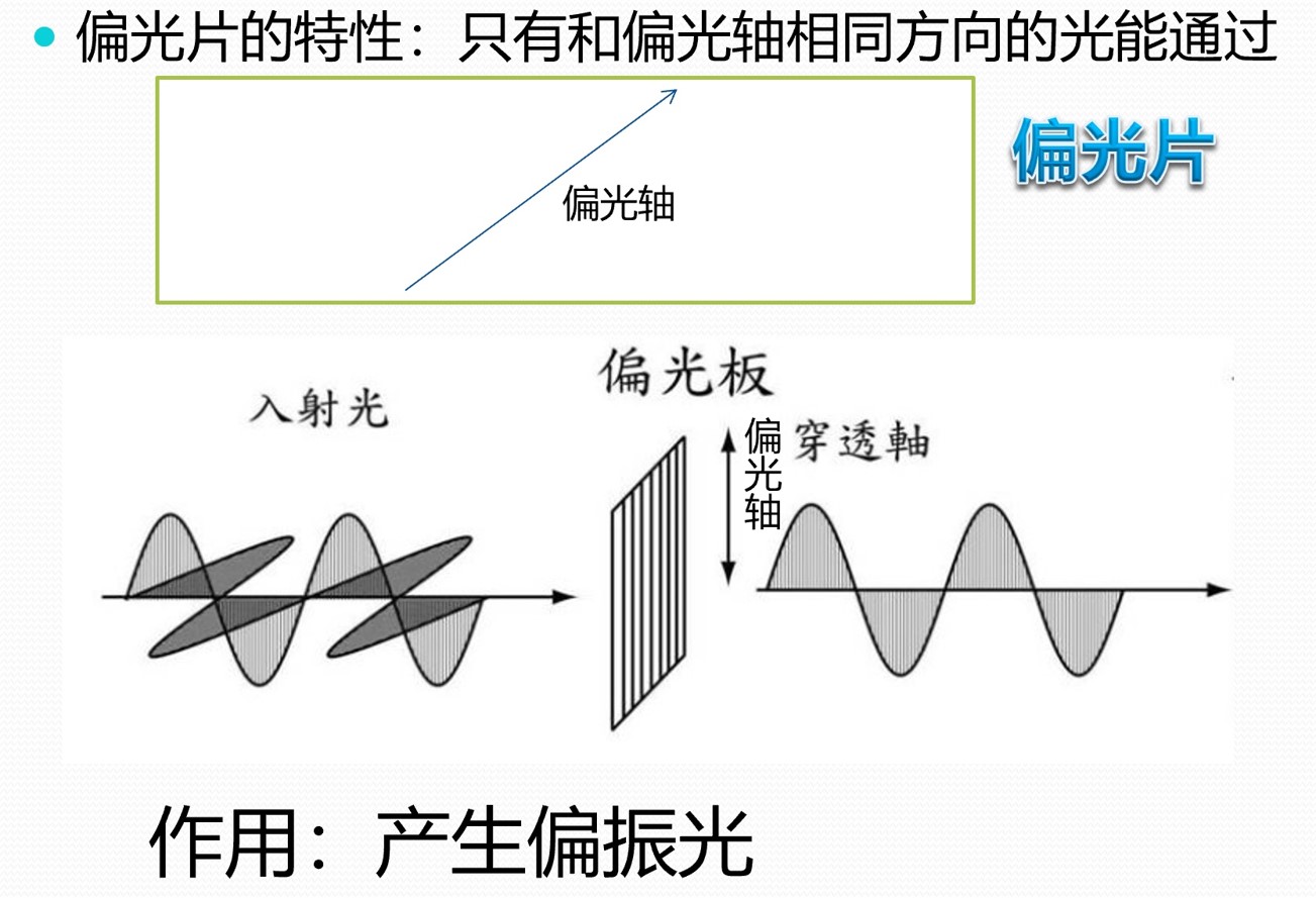 偏光片的特性.jpg